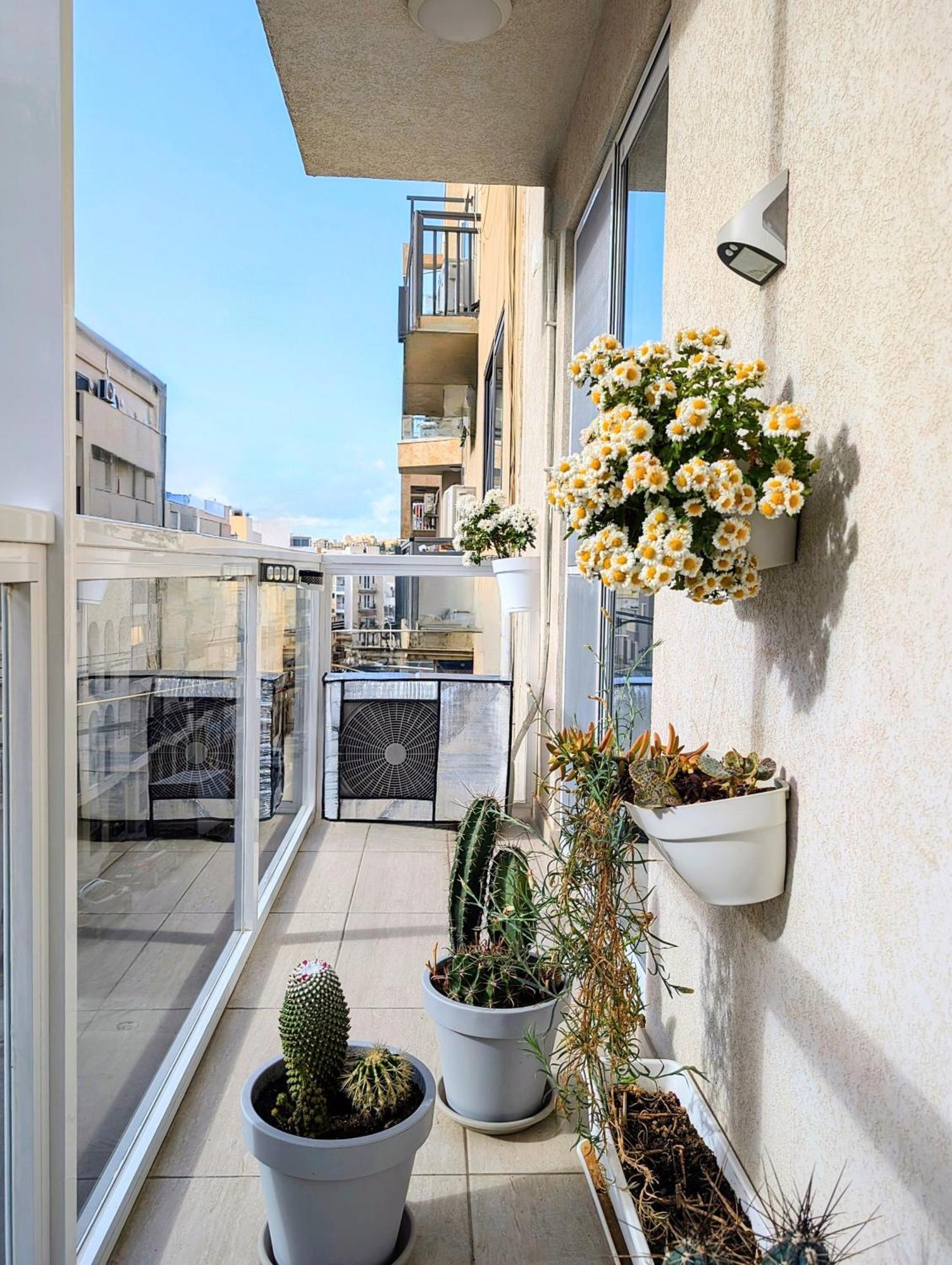 Central- Private En-Suite With Balcony In Shared Residence Pietà 외부 사진